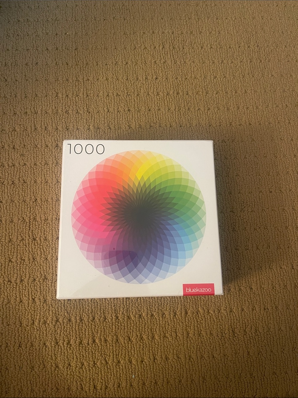 1000-Piece Color Wheel Puzzle - Multicolor